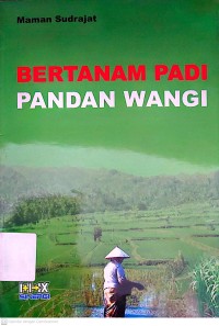 Image of Bertanam padi pandan wangi