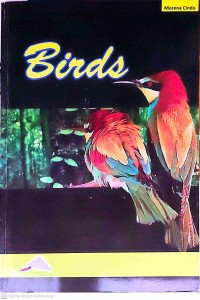 Image of Bird